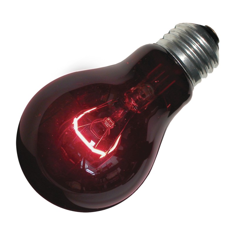 LAMP NIGHTLIGHT RED
