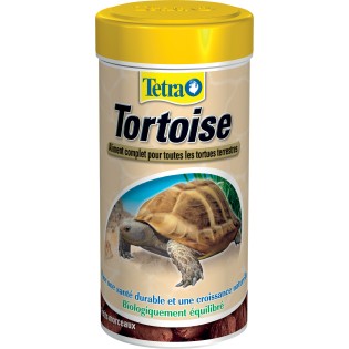 TETRAFAUNA TORTOISE