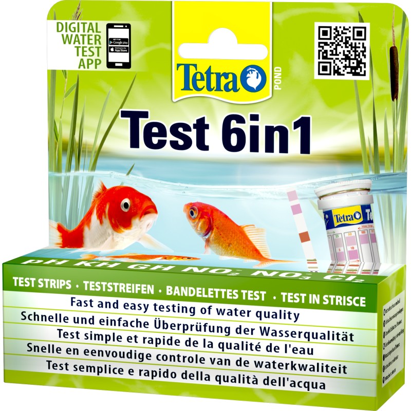 TEST 6 EN 1