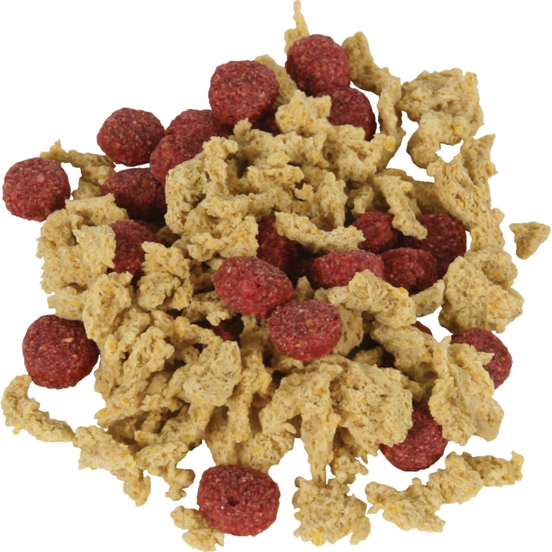 CRUNCHY CUP