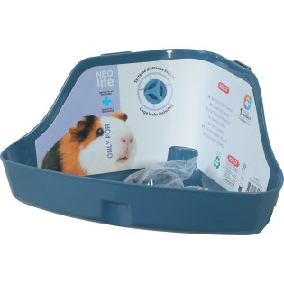 TOILETTE ANGLE COCHON D'INDE NLIFE BLEU