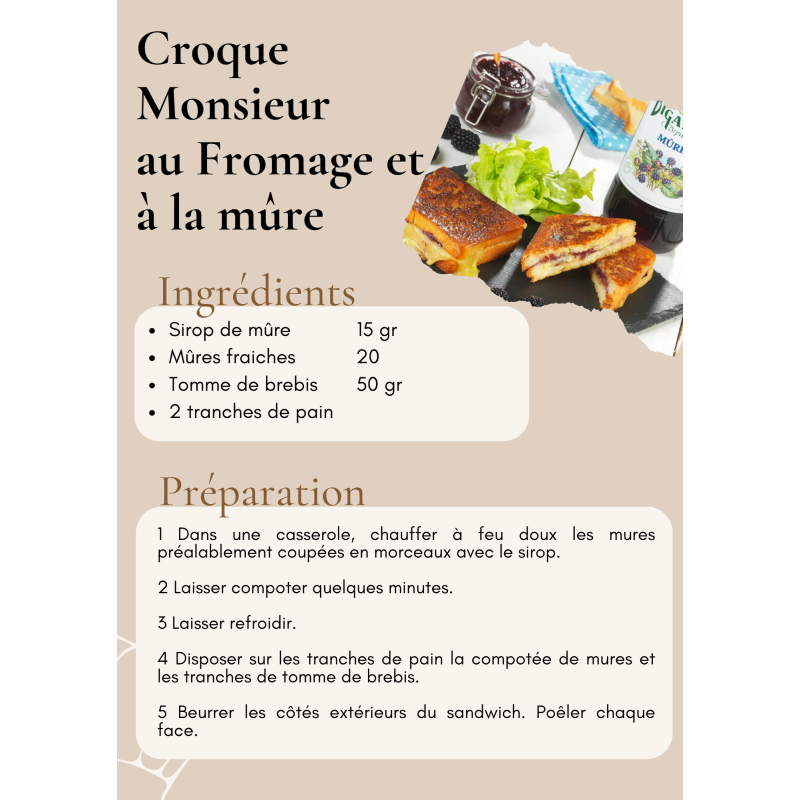 SIROP 1L MURE