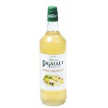 SIROP 1L KIWI BANANE