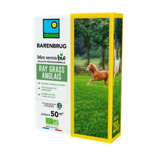 Ray Grass Anglais 250g