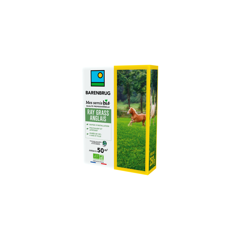 Ray Grass Anglais 250g