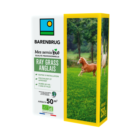 Ray Grass Anglais 250g