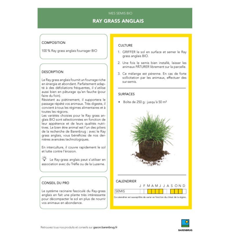 Ray Grass Anglais 250g