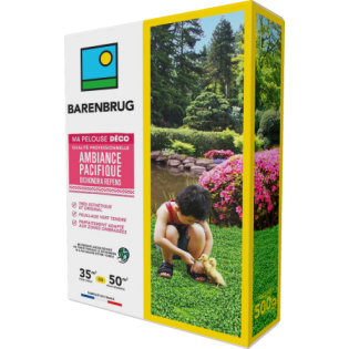 Ambiance pacifique - Dichondras repens 500g