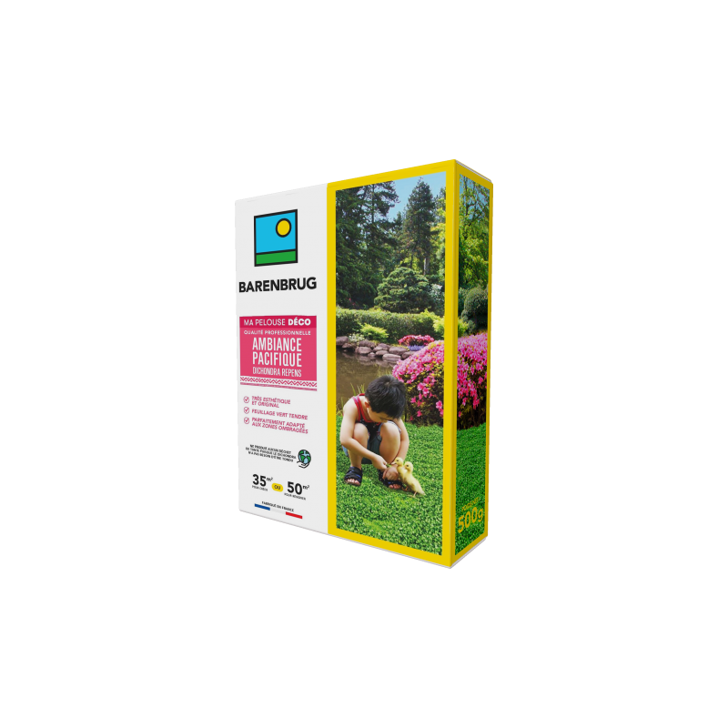 Ambiance pacifique - Dichondras repens 500g