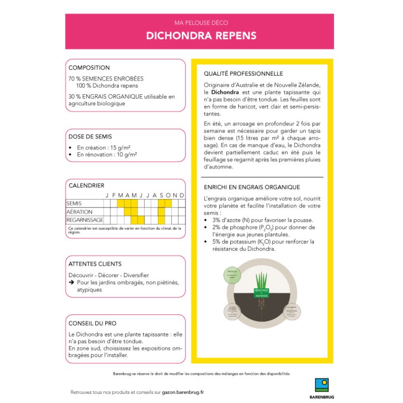 Ambiance pacifique - Dichondras repens 500g