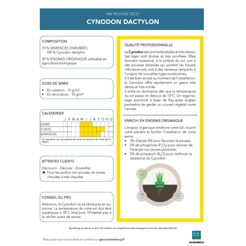 Ambiance méditérannée - cynodon dactylon 500g