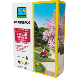 Ambiance japonaise - fleurs basses 500g