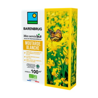 Moutarde Blanche 500g