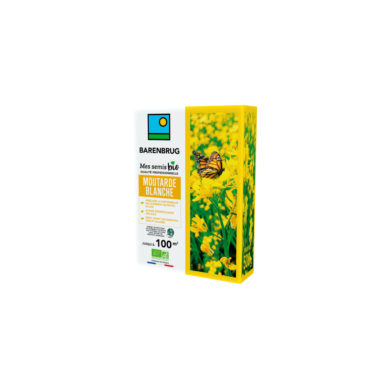 Moutarde Blanche 500g