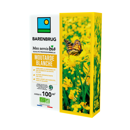Moutarde Blanche 500g