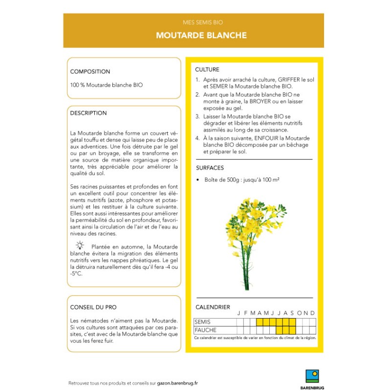 Moutarde Blanche 500g