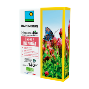 Trèfle Incarnat 500g