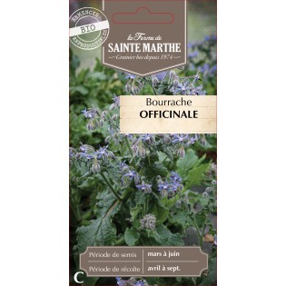 BOURRACHE OFFICINALE BIO