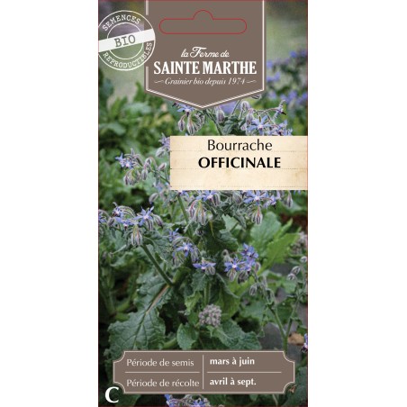 BOURRACHE OFFICINALE BIO