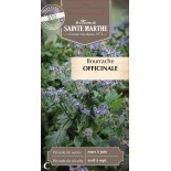 BOURRACHE OFFICINALE BIO