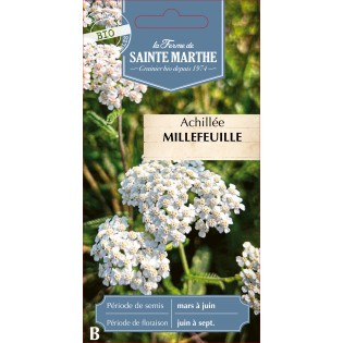 ACHILLEE MILLEFEUILLE BIO