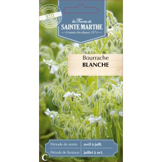 BOURRACHE BLANCHE BIO