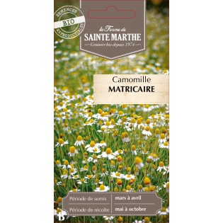 CAMOMILLE MATRICAIRE BIO