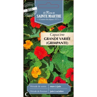 CAPUCINE GRANDE VARIEE BIO