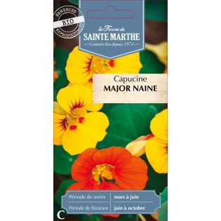 CAPUCINE MAJOR NAINE BIO