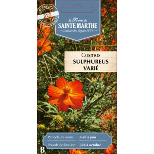 COSMOS SULPHUREUS BIO