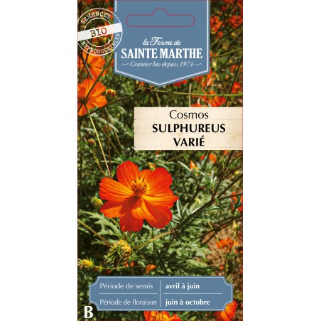 COSMOS SULPHUREUS BIO