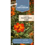 COSMOS SULPHUREUS BIO
