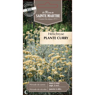 HELICHRYSE PLANTE CURRY BIO