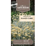 HELICHRYSE PLANTE CURRY BIO