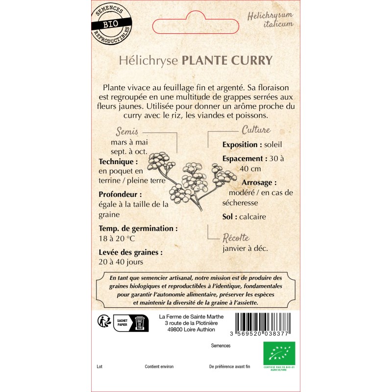 HELICHRYSE PLANTE CURRY BIO