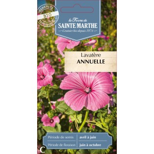 LAVATERE ANNUEL BIO