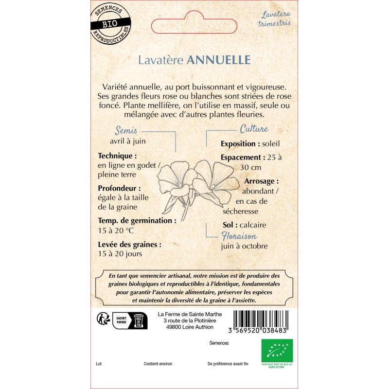 LAVATERE ANNUEL BIO