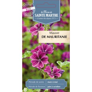 MAUVE DE MAURITANIE BIO