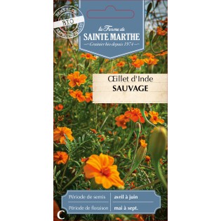 ŒILLET D INDE SAUVAGE BIO