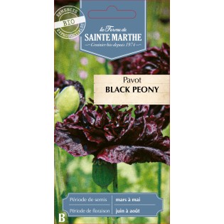 PAVOT BLACK PEONY BIO