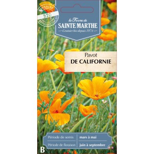 PAVOT DE CALIFORNIE ORANGE BIO