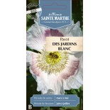PAVOT DES JARDINS BLANC BIO