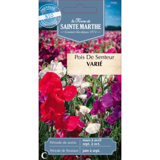 POIS DE SENTEUR VARIE BIO