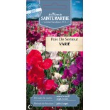 POIS DE SENTEUR VARIE BIO