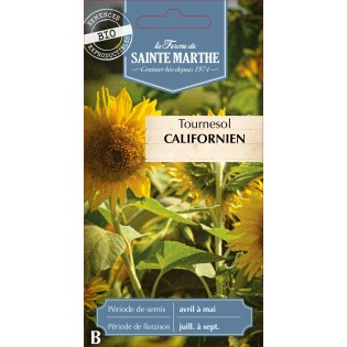 TOURNESOL CALIFORNIEN BIO