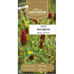 TREFLE INCARNAT CARMINA BIO