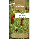 TREFLE INCARNAT CARMINA BIO