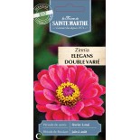 ZINNIA ELEGANS BIO