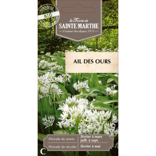 AIL DES OURS BIO
