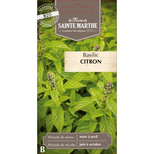 BASILIC CITRON BIO